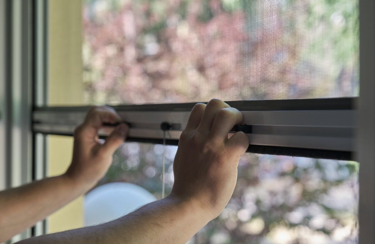 Retractable Fly Screens Offer So Much More Than Protection from Insects