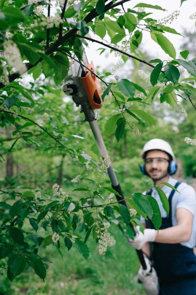 selective focus of smiling gardener in helmet and hearing protectors trimming trees with telescopic